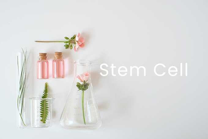 S - Stemcell 植物幹細胞